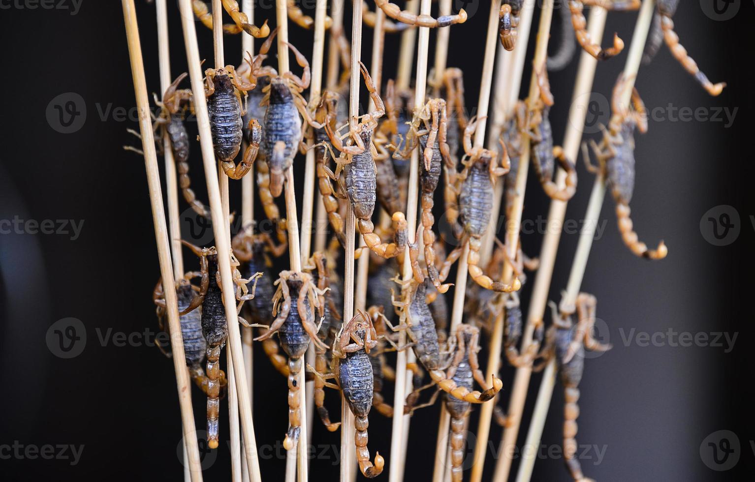 frito insectos y escorpiones como bocadillo calle comida en porcelana, Beijing foto