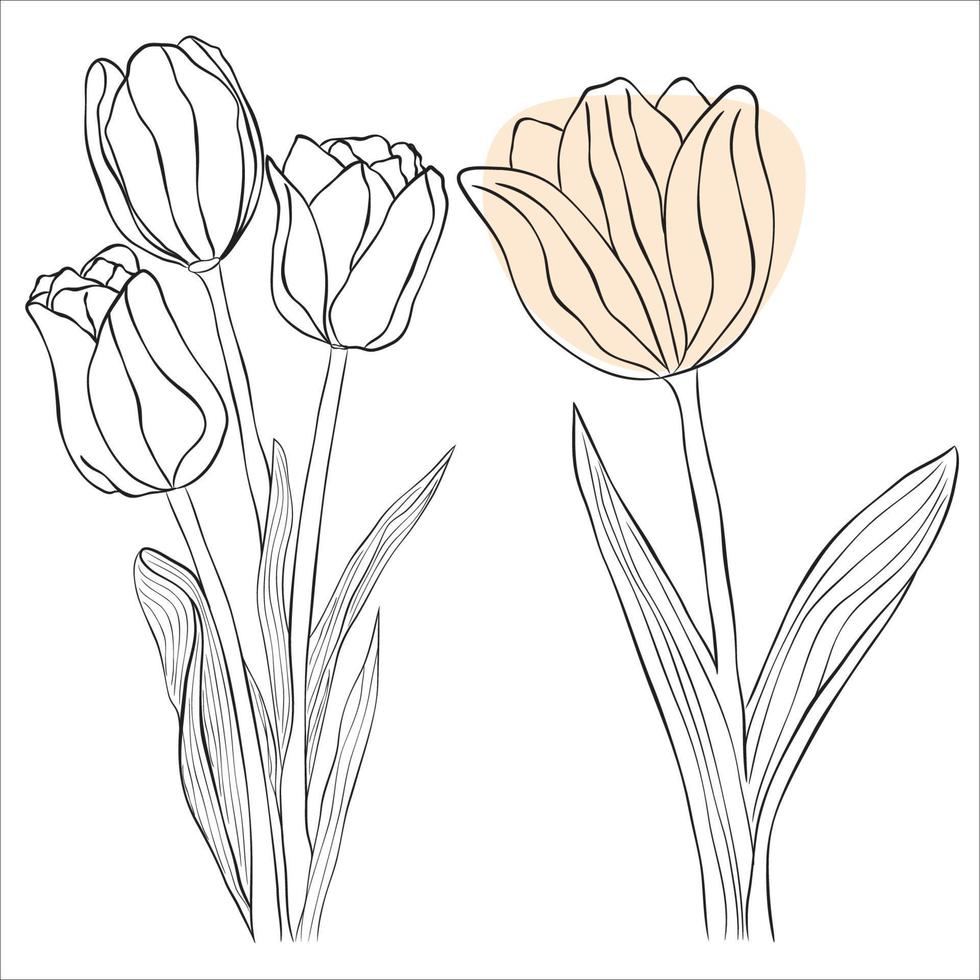 Free Vector line art and hand drawing flower art black and white flat ...