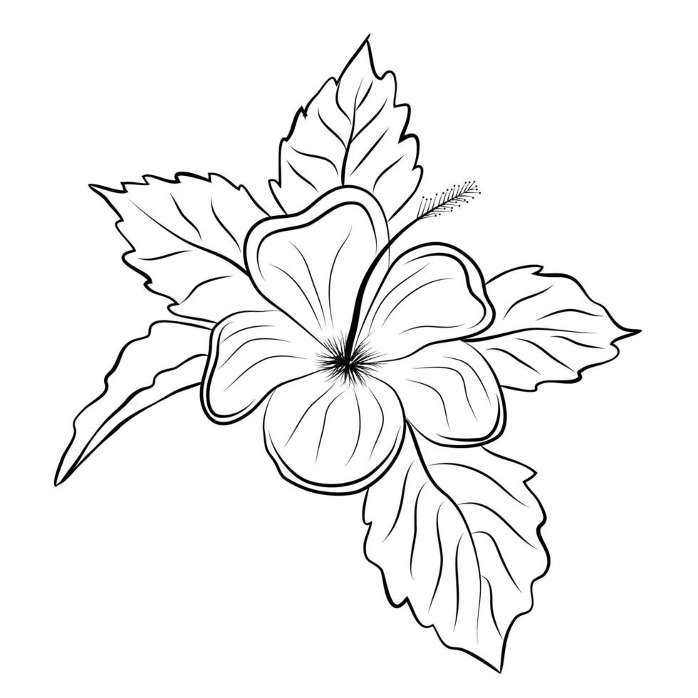 gratis vector línea Arte y mano dibujo flor Arte negro y blanco plano diseño sencillo flor