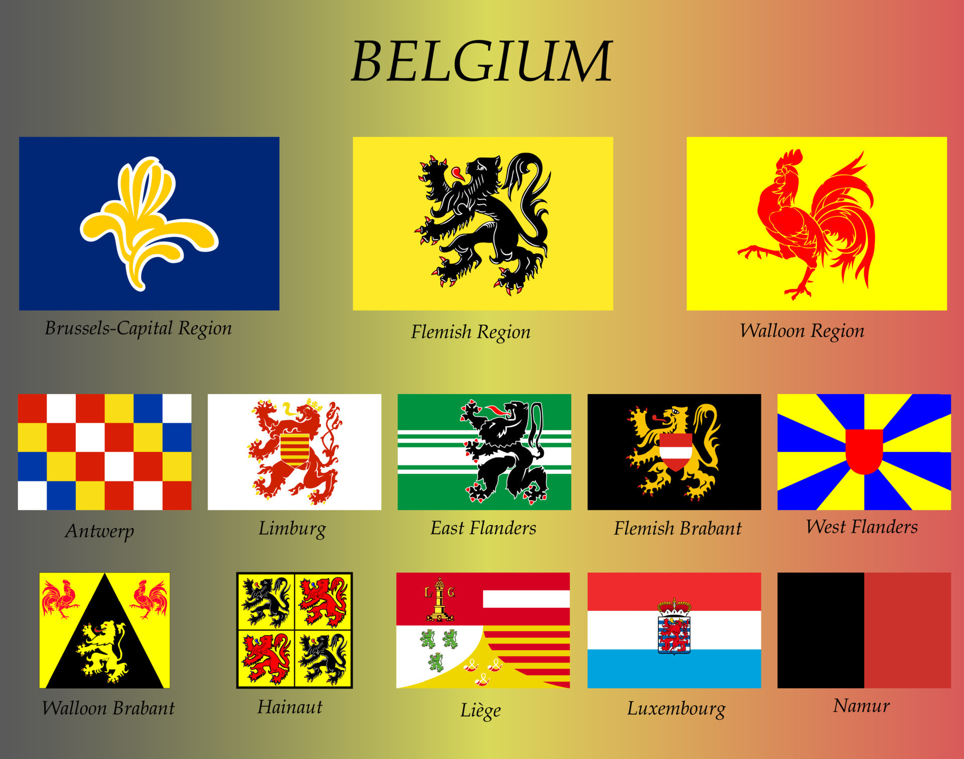All Flags Of The Belgium Regions Vector 