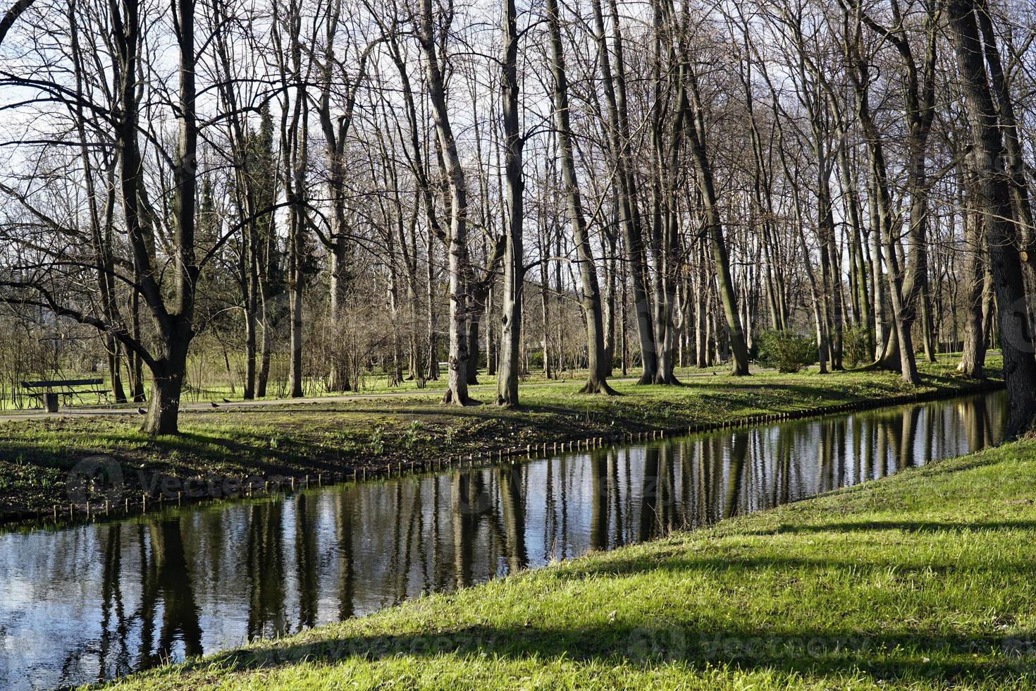 Pond in Lazienki Krolewskie - Royal Baths Park in Warsaw, Poland photo
