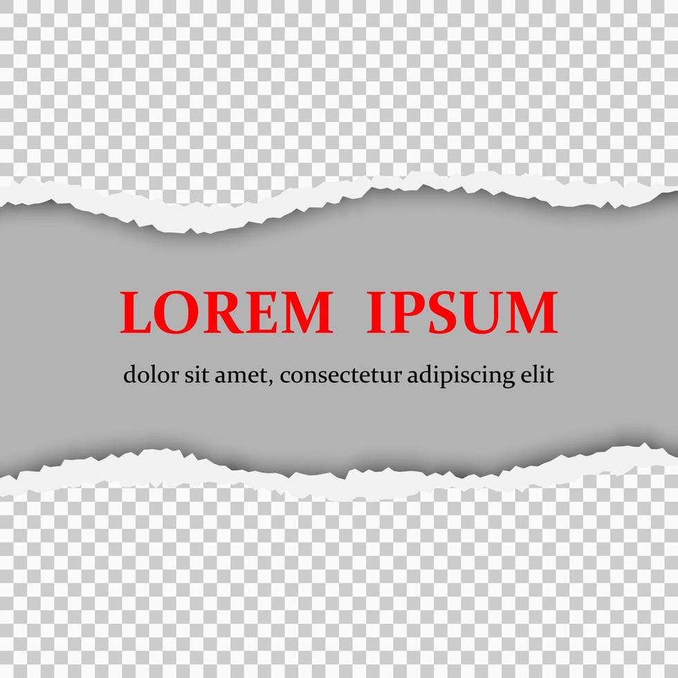 Realistic vector torn paper with ripped edges