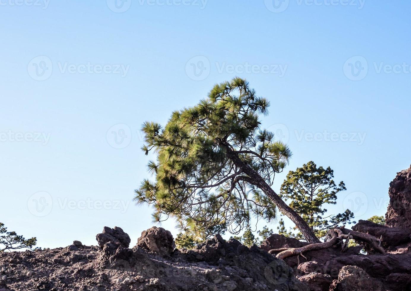 Scenic rural landscape photo