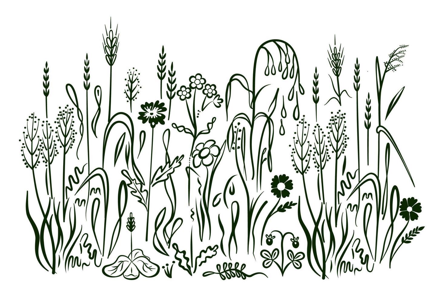 Abstract background with black silhouettes of meadow wild herbs and flowers. Drawn in doodle style. Isolated on white background. Vector illustration.