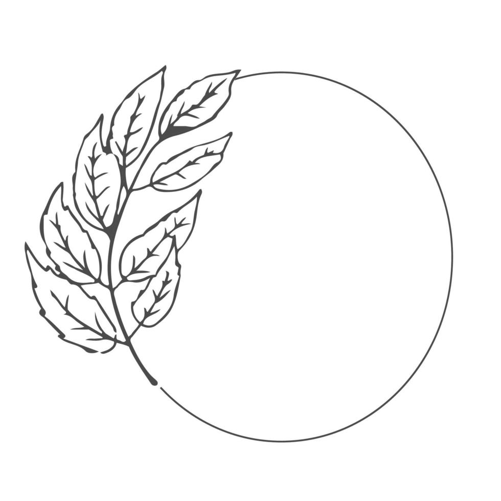 floral bohemian elegant aesthetic circle frame with leaves in doodle style isolated on white background. Vector illustration