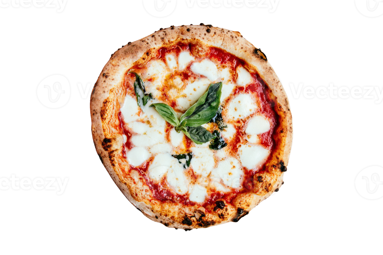 Neapolitan pizza isolated on a transparent background png