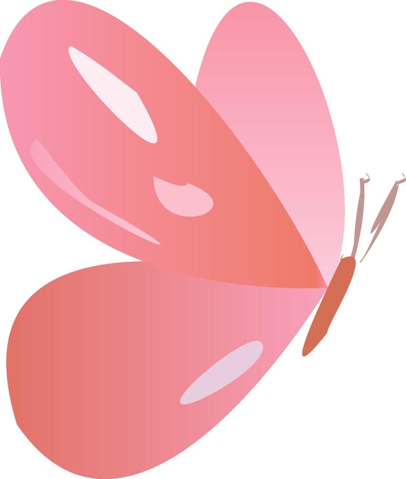 Color butterfly , isolated on white. vector