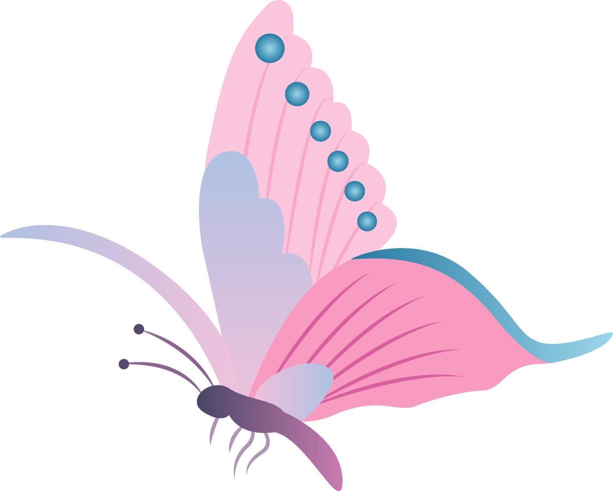 Color butterfly , isolated on white. vector