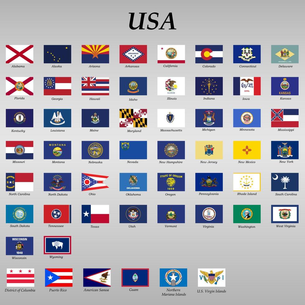 todas banderas de estados de el unido estados vector