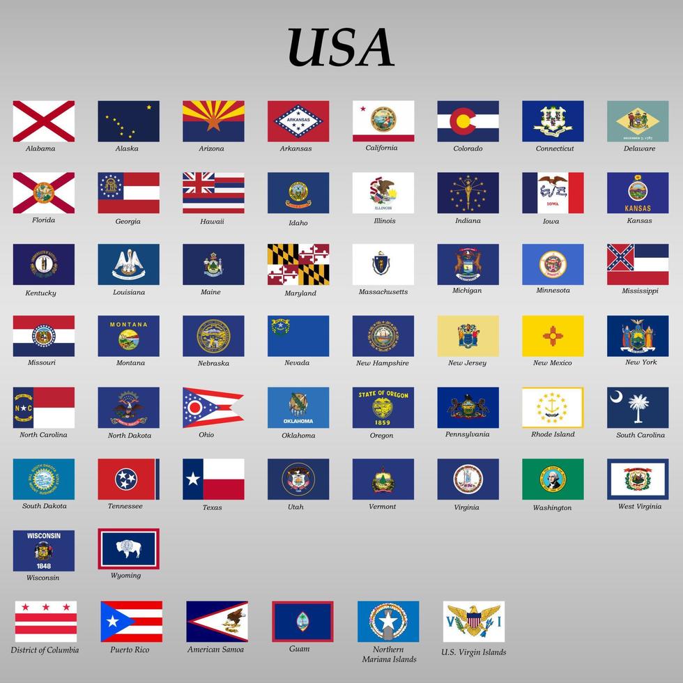 all Flags of states of the United States vector