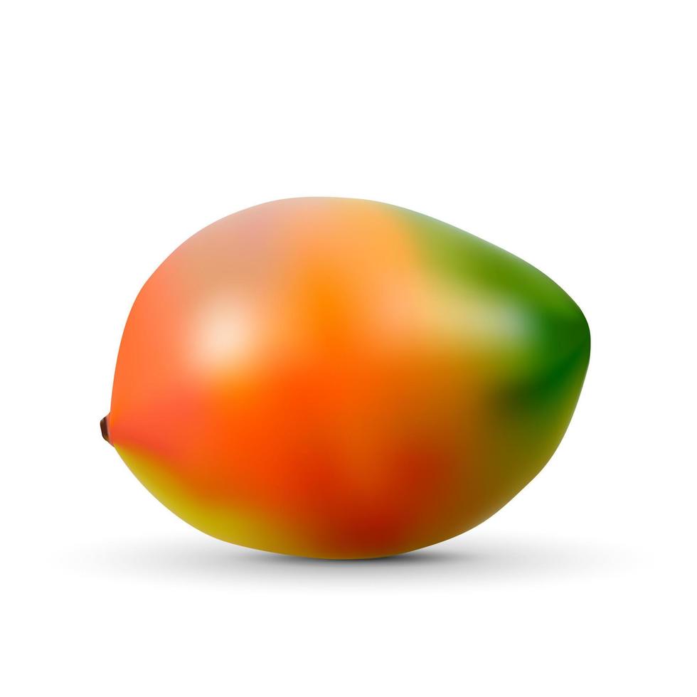 realistic mango isolated on white background. vector