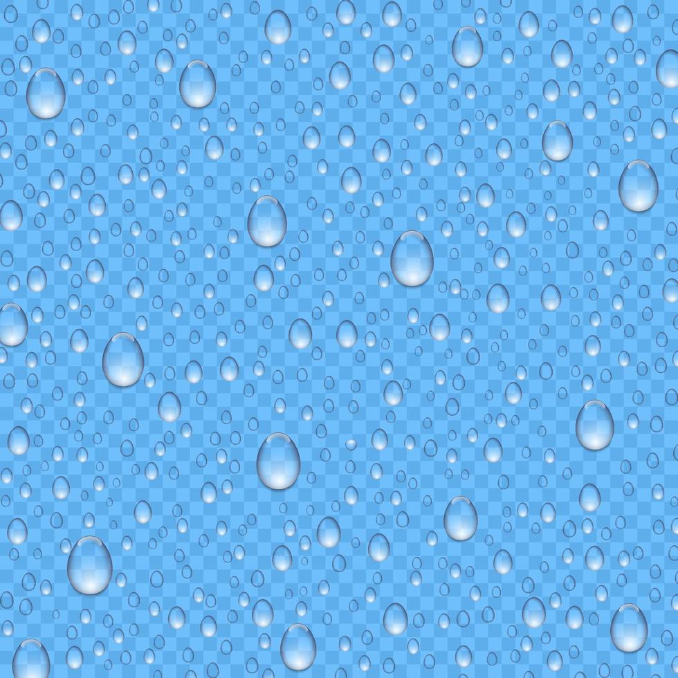 Realistic water rain drops isolated vector