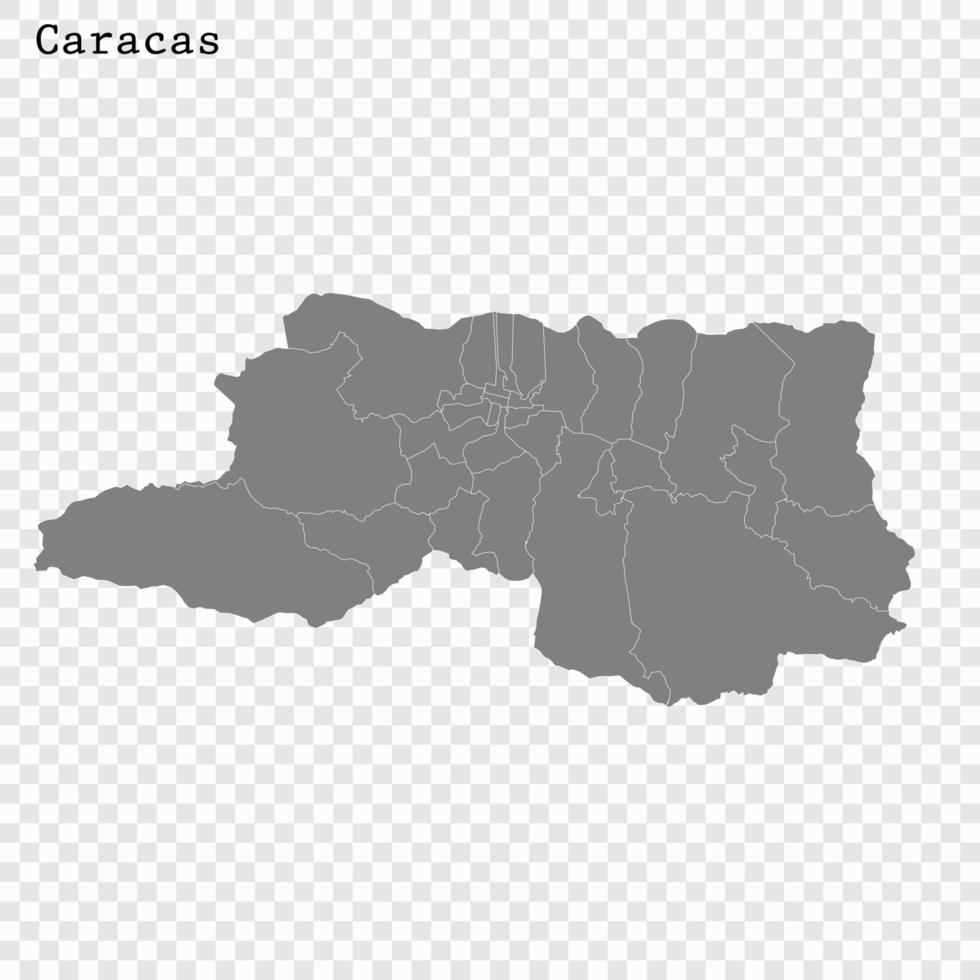 alto calidad mapa ciudad vector