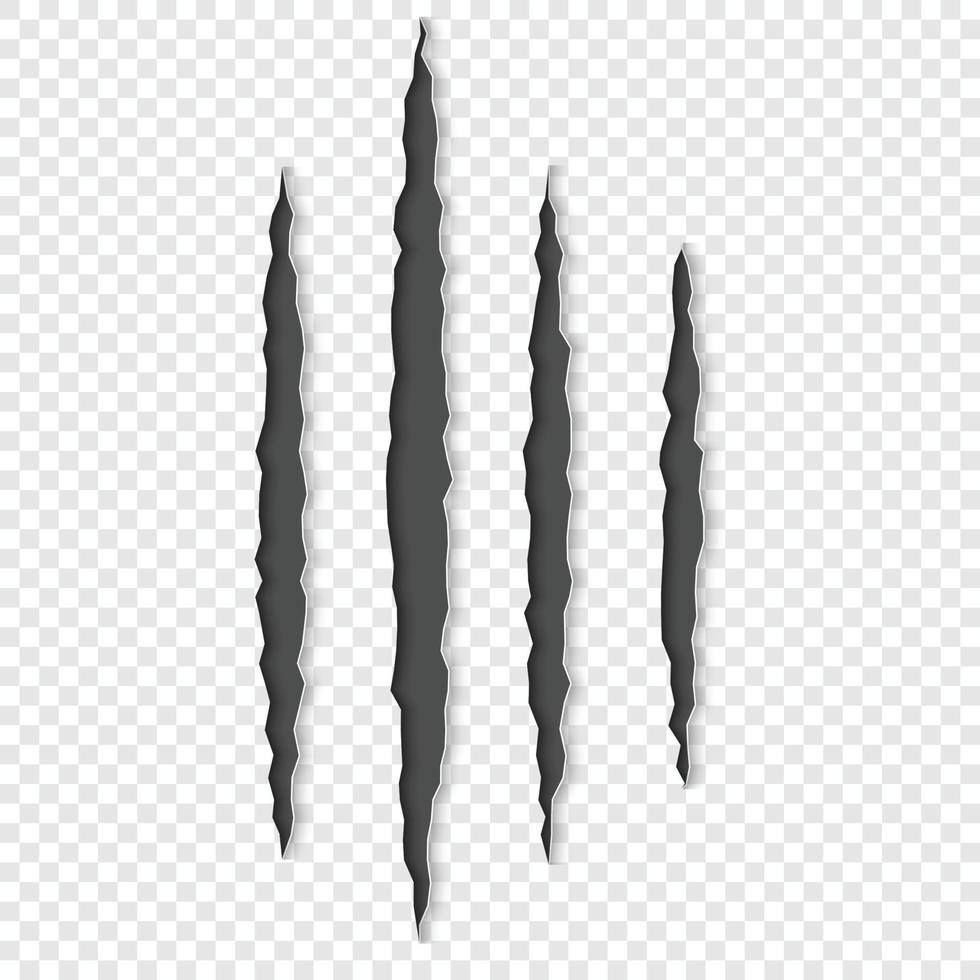 Claws scratches with shadows. vector