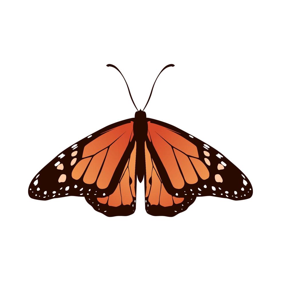 collection of realistic butterfly vector illustration design