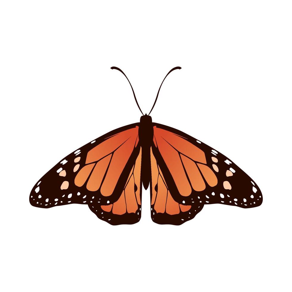 collection of realistic butterfly vector illustration design