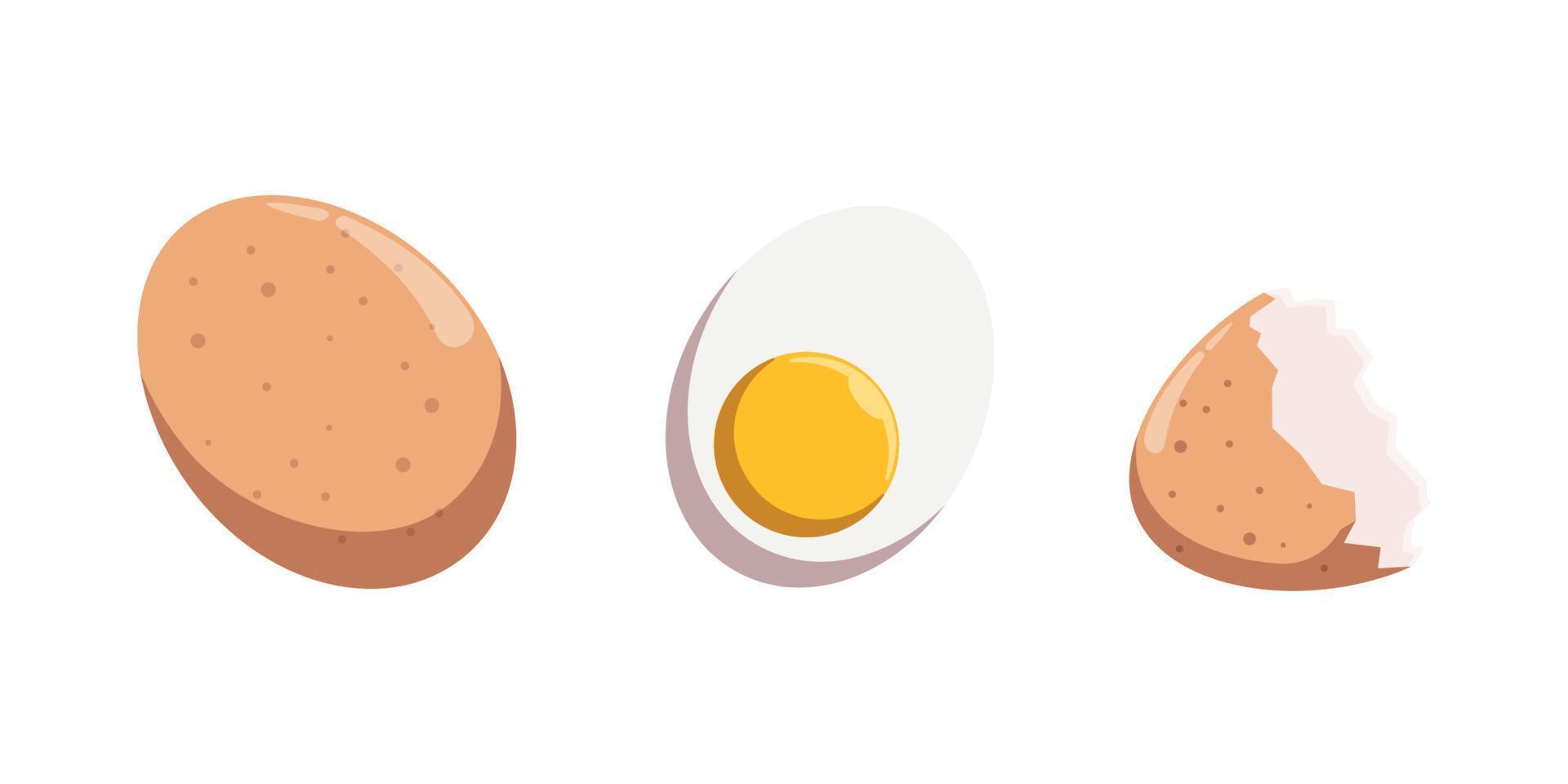 chicken egg collection illustration design vector