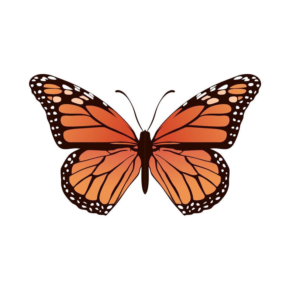 Printcollection of realistic butterfly vector illustration design