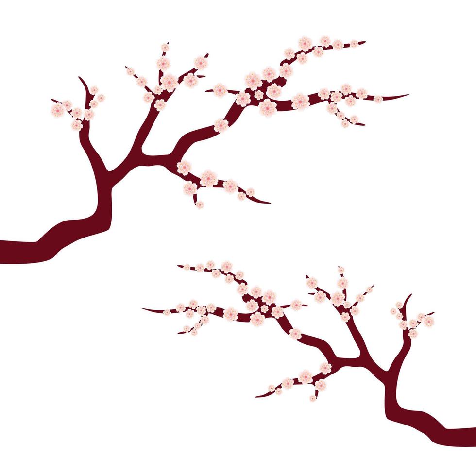 diseño ilustración rama con Cereza flores vector
