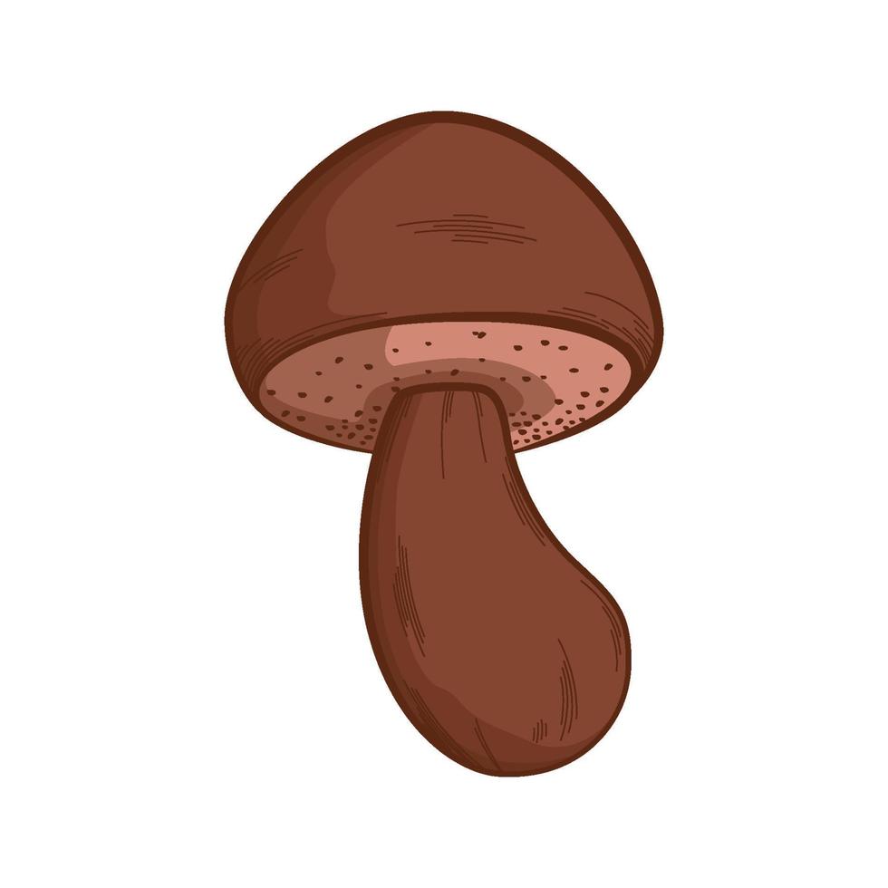 mushroom set hand drawn illustration design perfect for fall design elements vector