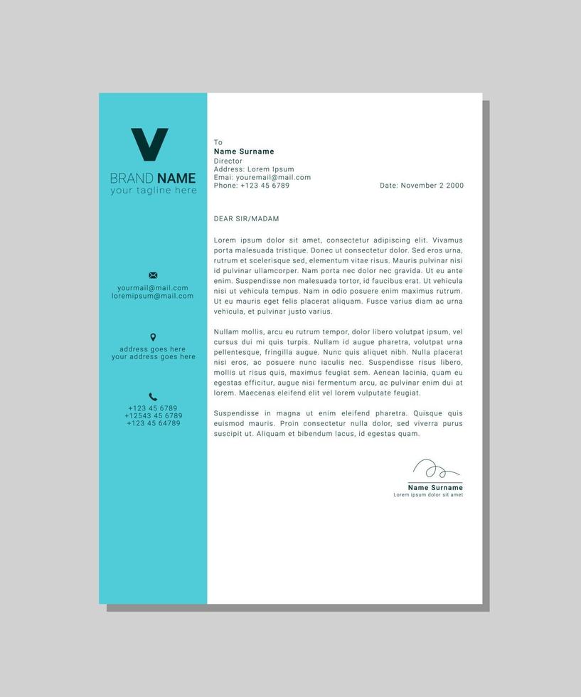 modern business letterhead template design vector