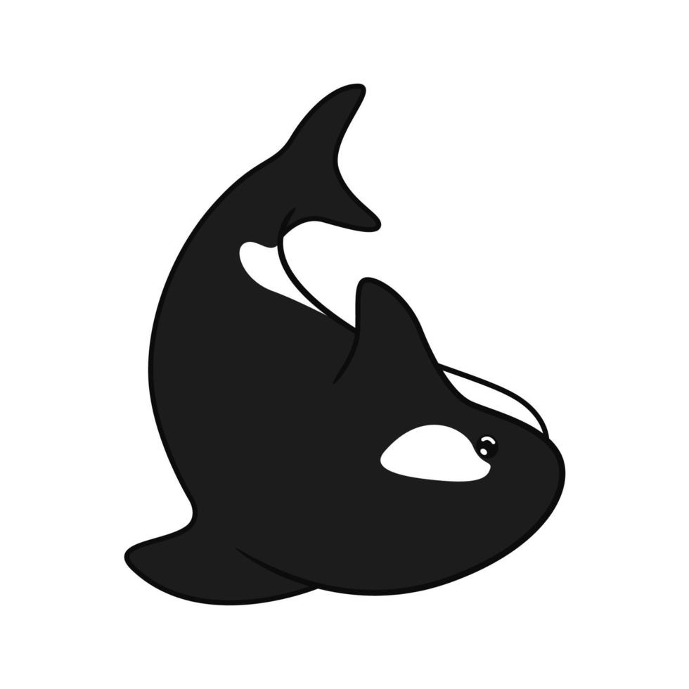 orca whale illustration design. cute kille whale design vector