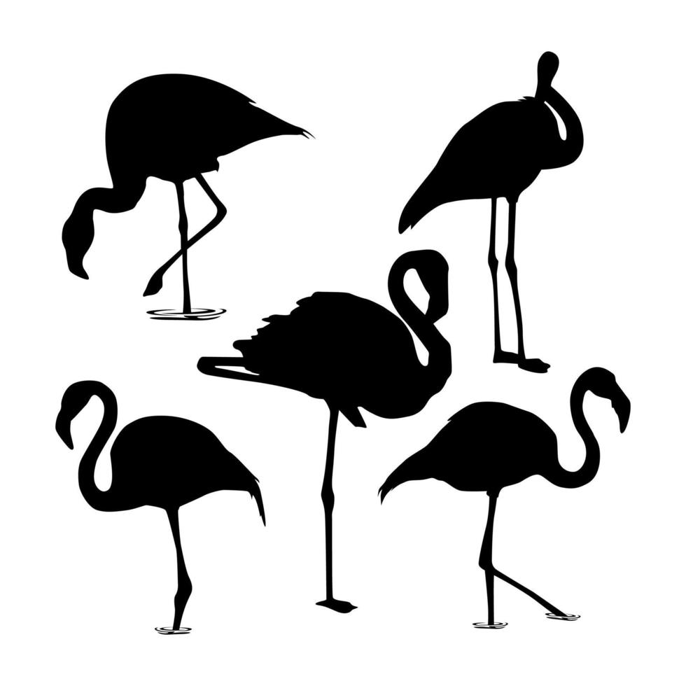 flamingo silhouette illustration collection vector