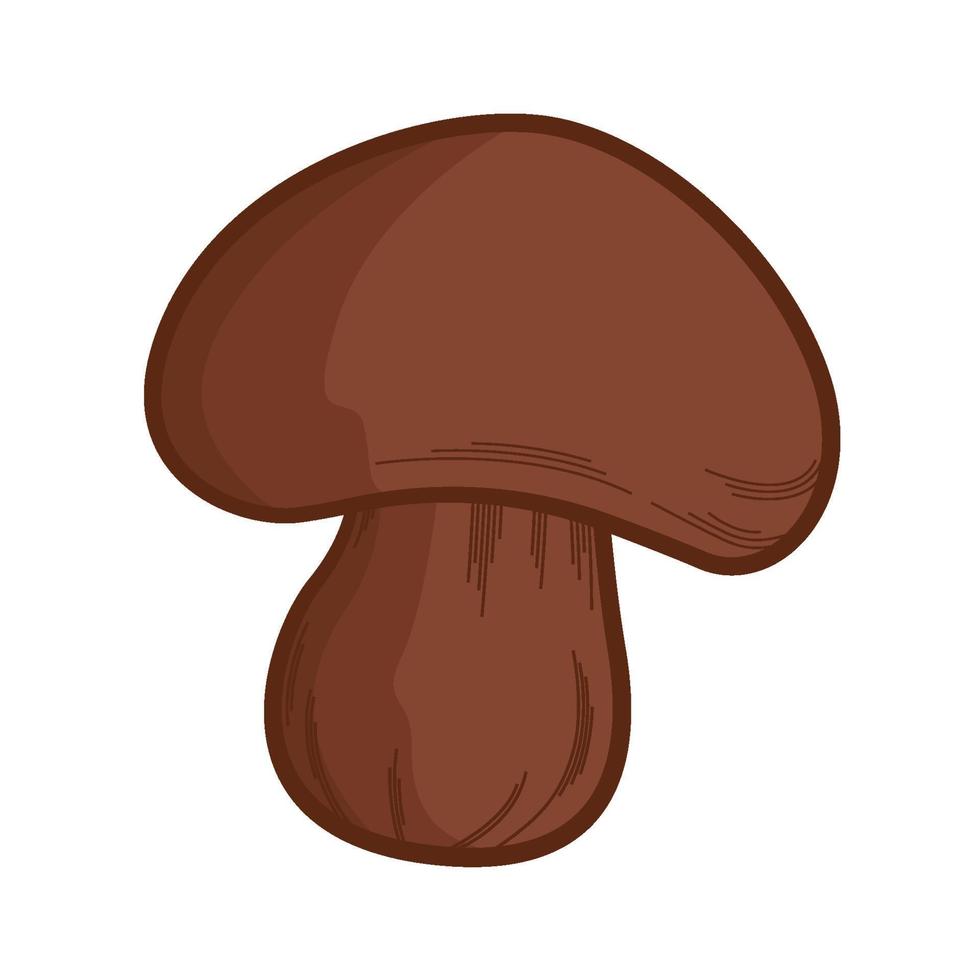 mushroom set hand drawn illustration design perfect for fall design elements vector