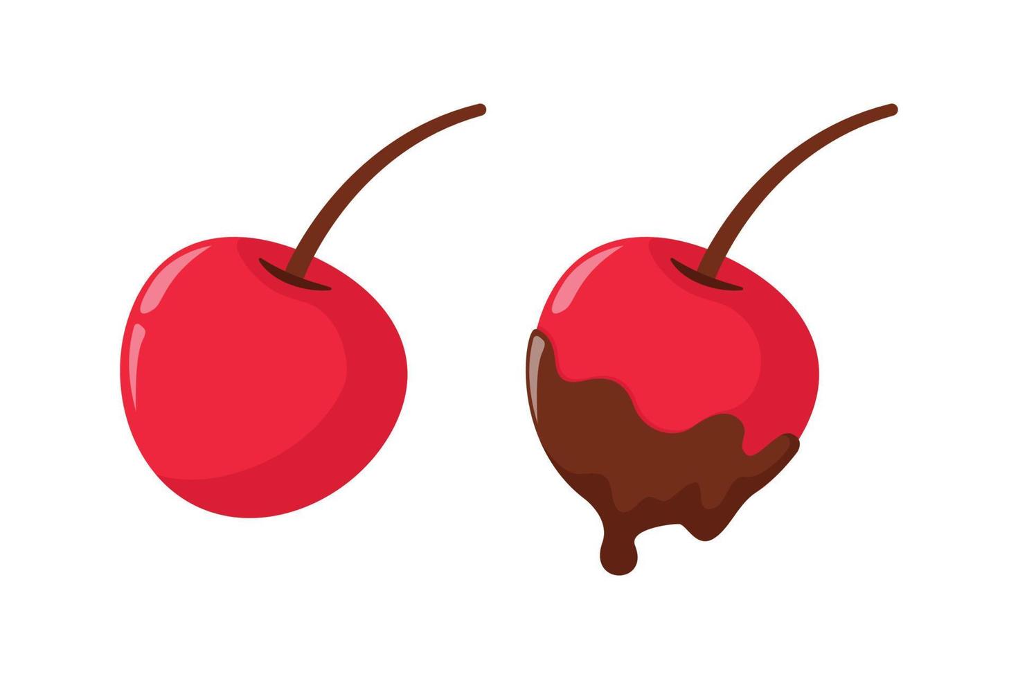 chocolate dipped cherry fruit illustration design vector