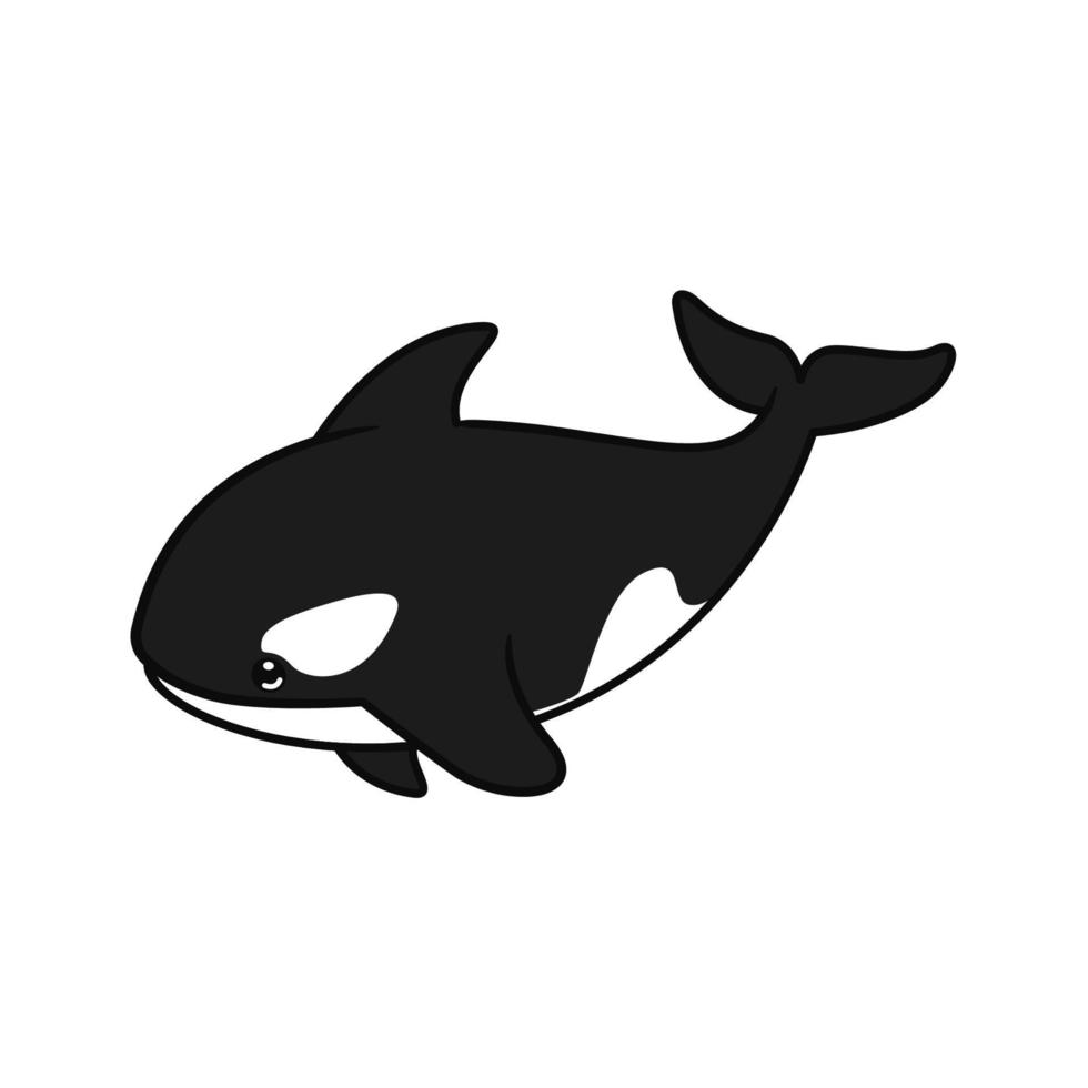 orca whale illustration design. cute kille whale design vector
