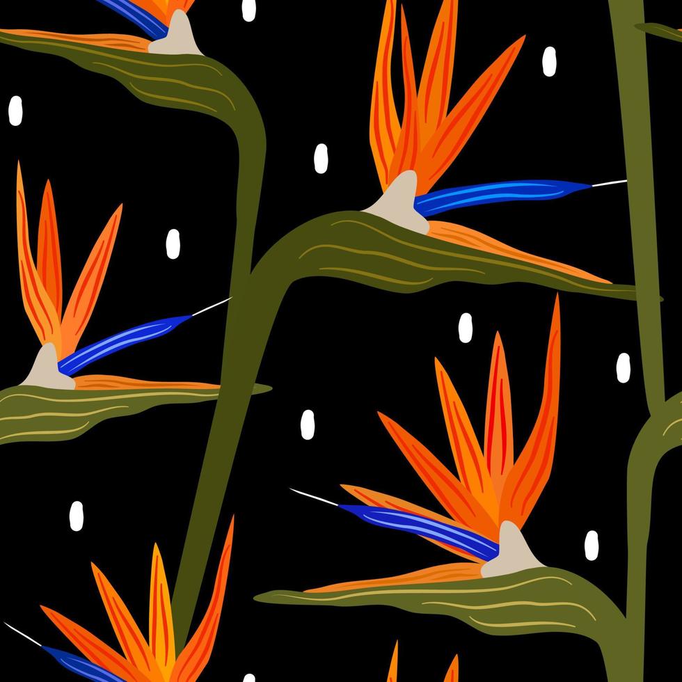 beautiful colorful strelitzia flowers abstract seamless vector pattern illustration on black background