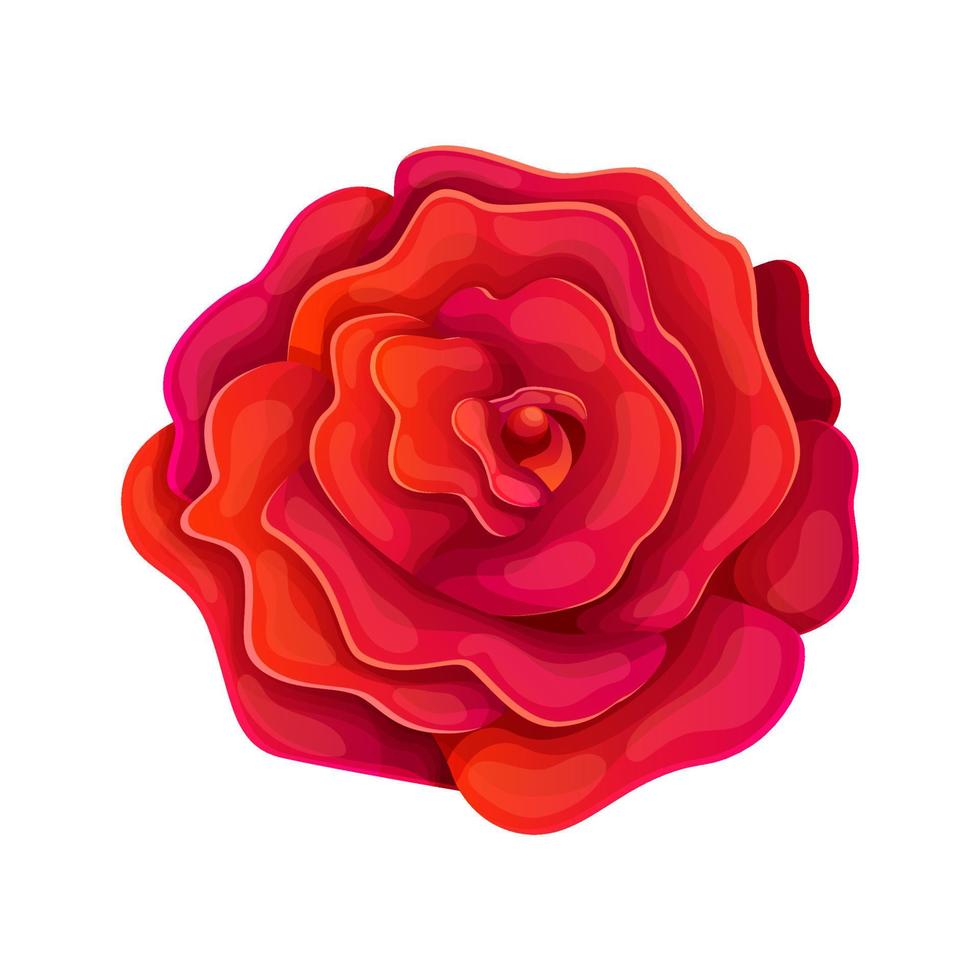 Beautiful red rose in cartoon style. Perfect for greeting cards and invitations of the wedding, birthday, Valentines Day. Vector illustration isolated on white.