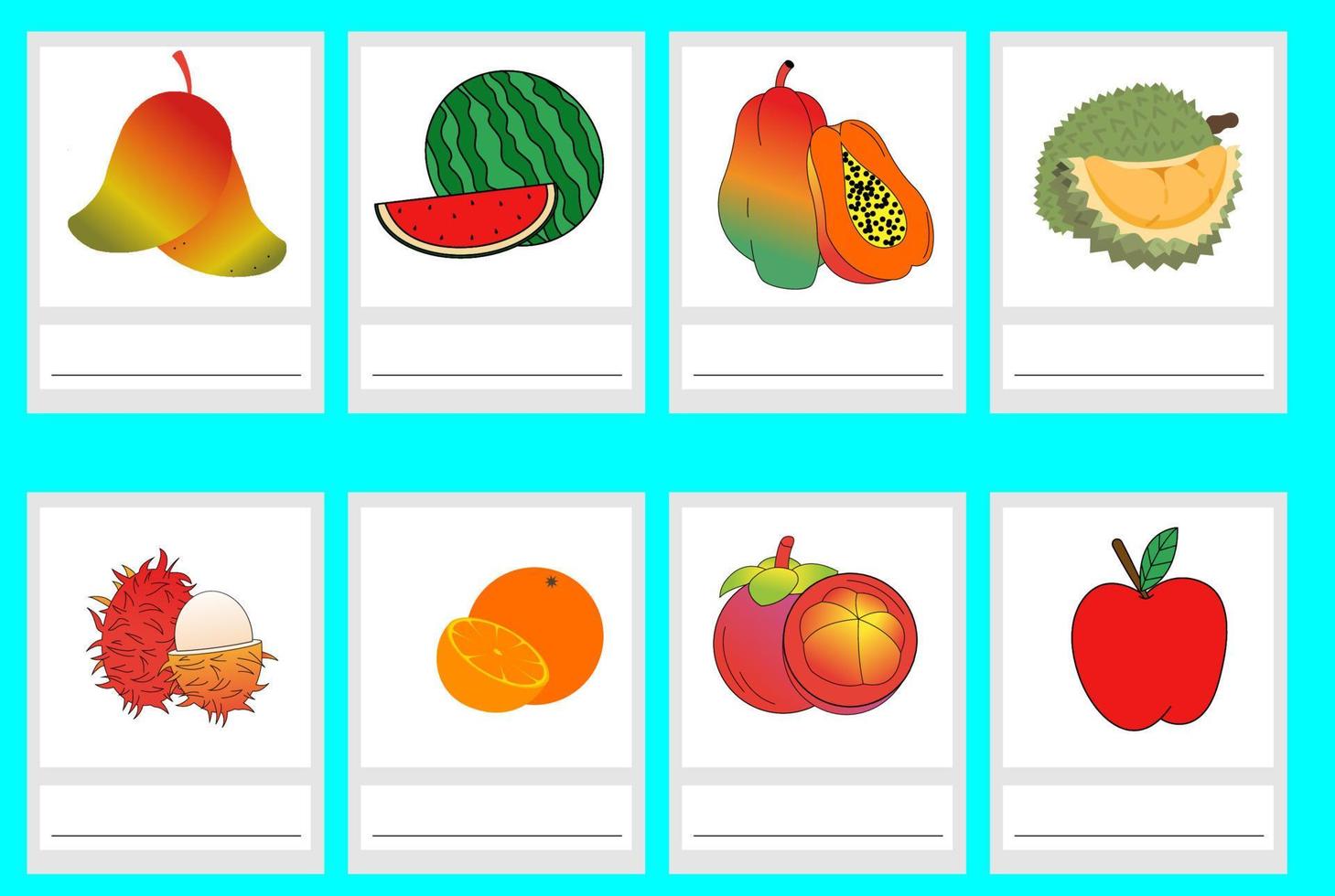 Kinds of fruit. Watermelon, rambutan, papaya, mango, orange, apple, mangosteen, durian. For children's education vector
