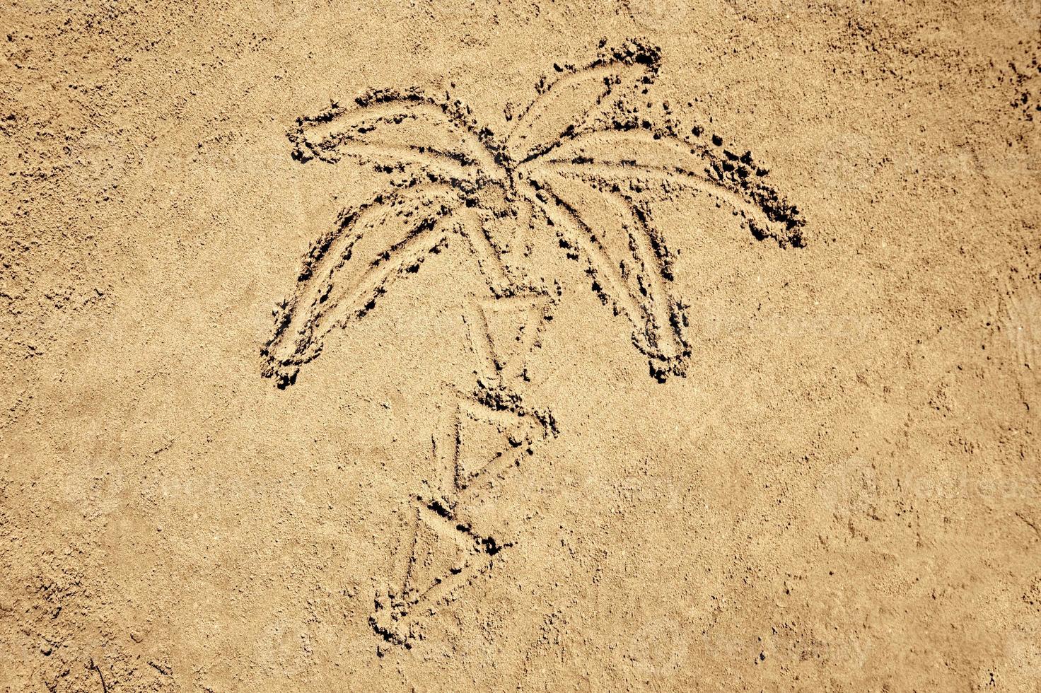 Palm Tree Drawing in Sand photo