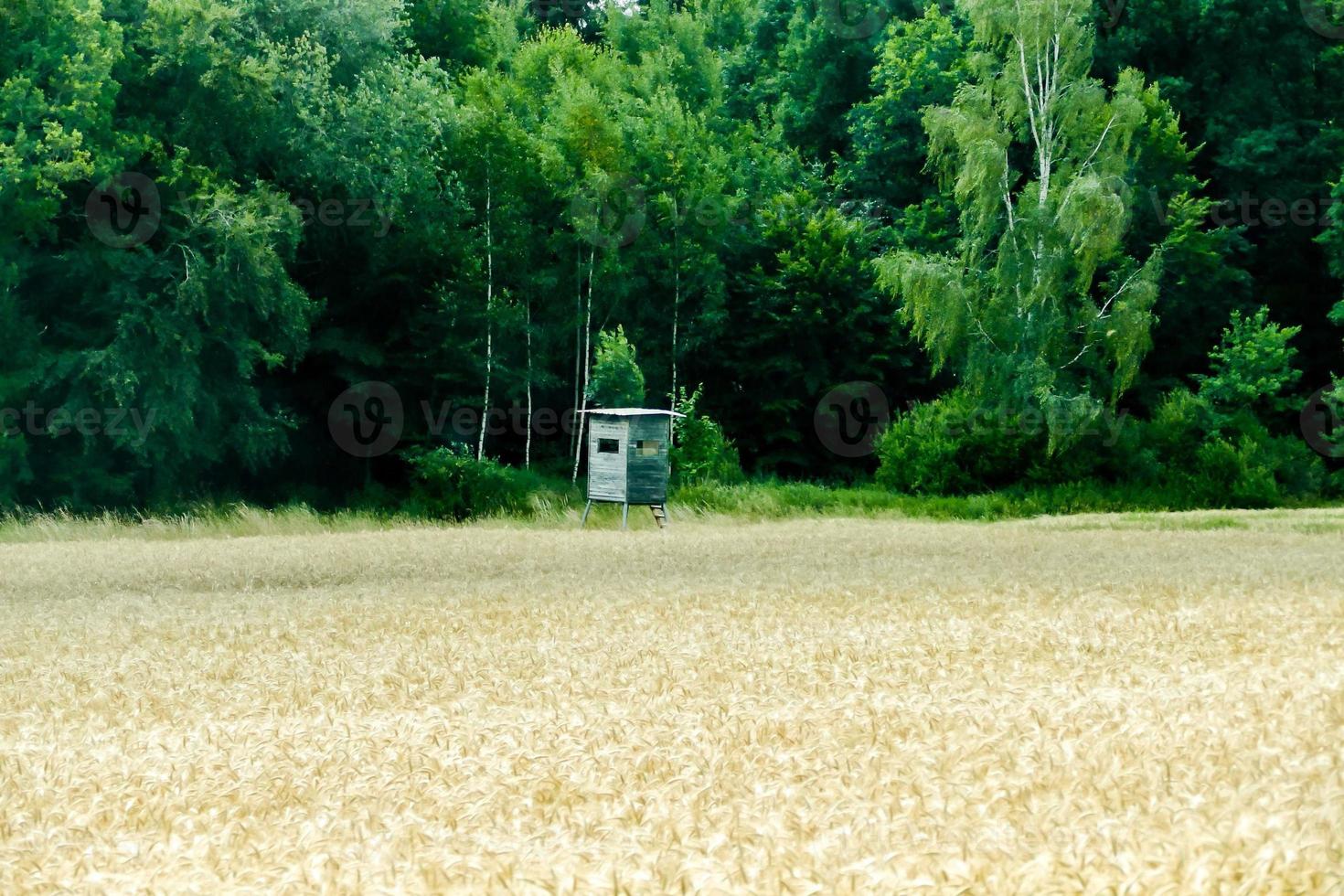 Scenic rural landscape photo