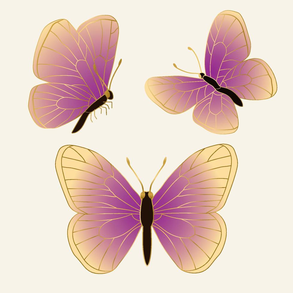 Set of three beautiful butterflies with golden outline. vector