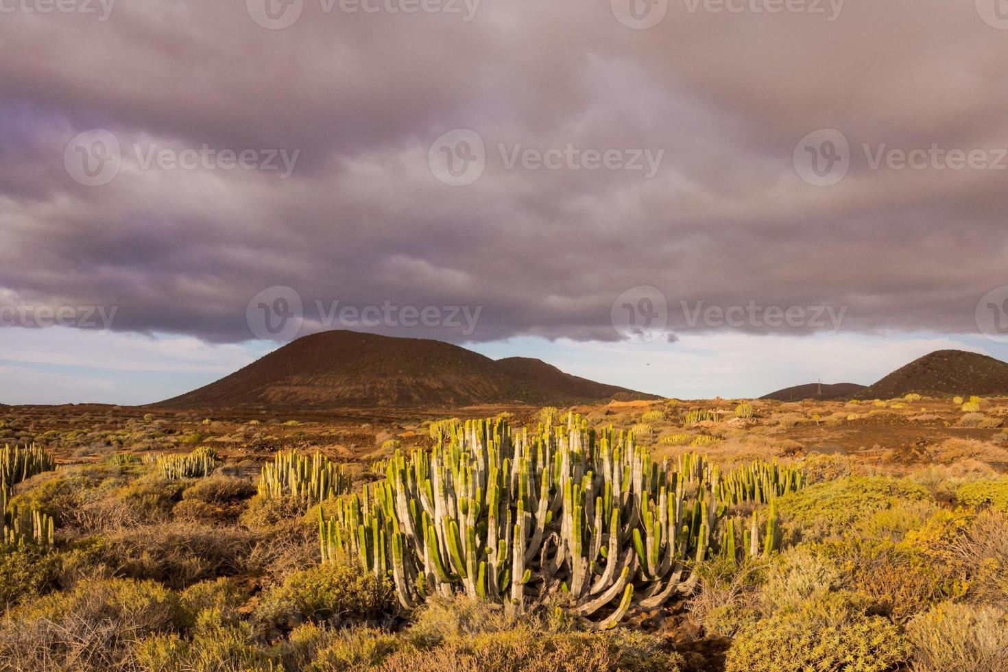 Scenic rural landscape photo