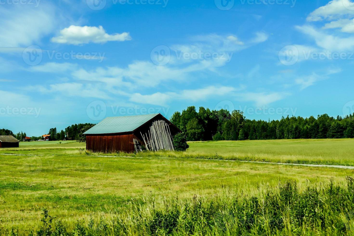Rural landscape in Sweden photo