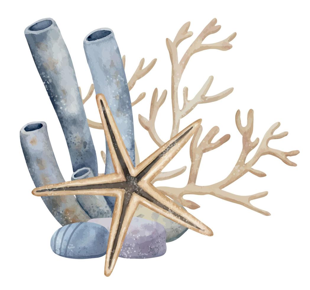 Underwater composition with tube Coral and sea Star on isolated background. Hand drawn watercolor illustration of starfish and seaweed for icon or logo. Drawing of undersea in blue and beige colors vector