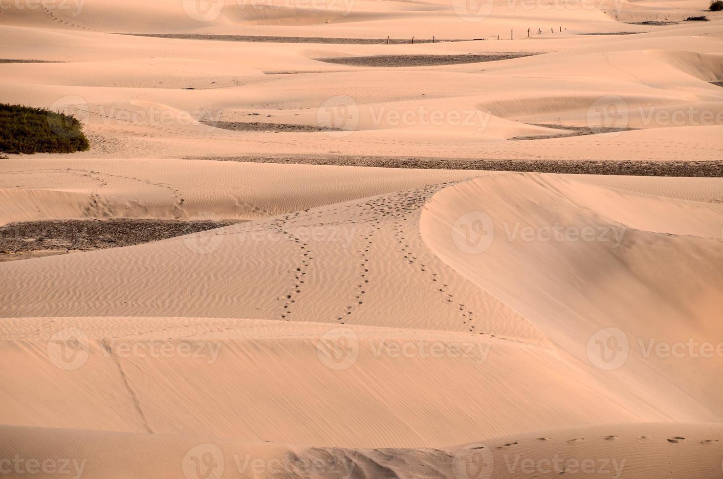 Waves in the sand photo