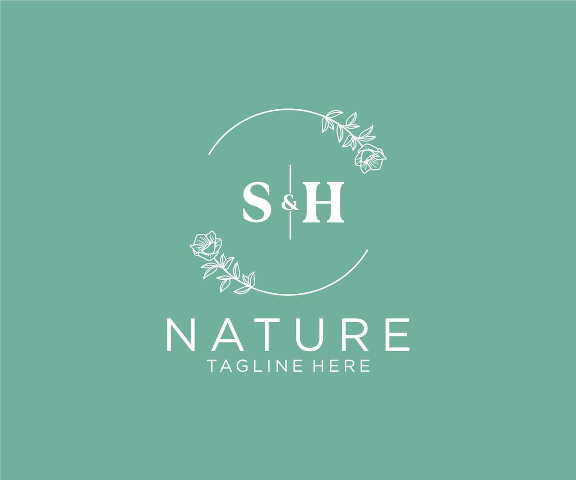 initial SH letters Botanical feminine logo template floral, editable premade monoline logo suitable, Luxury feminine wedding branding, corporate. vector