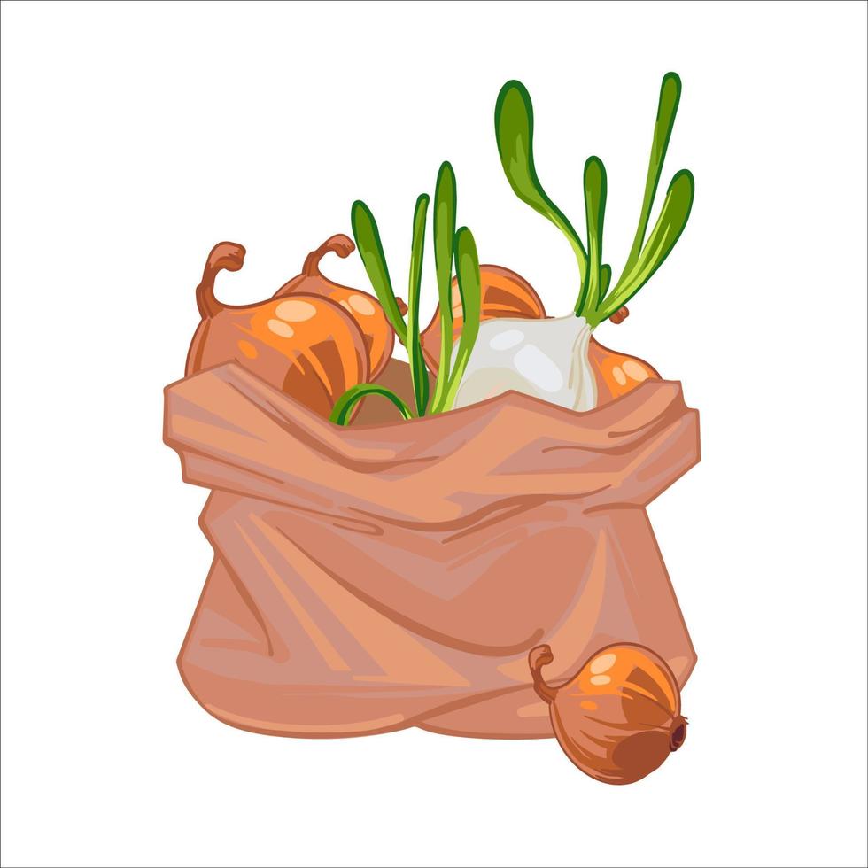 A paper bag full of ripe onions. Canvas bag with onions. Organic vegetables. hand drawn vector illustration isolated on white background. Icons bags with vegetables.