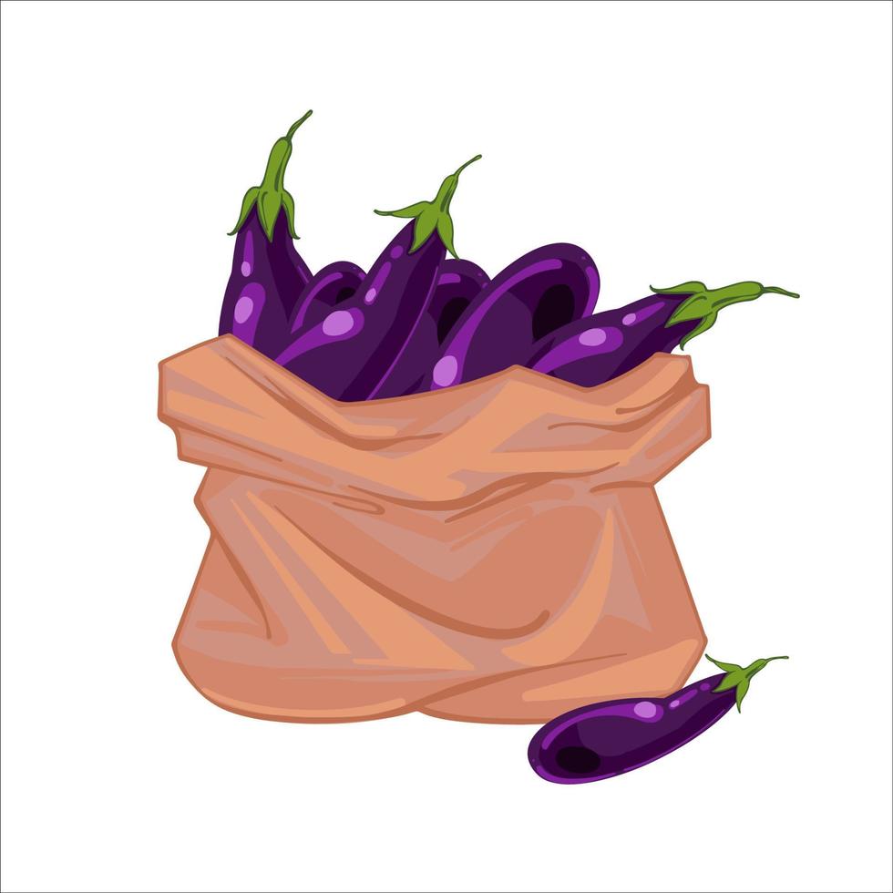 Paper bag full of ripe eggplants. Eggplant in a canvas bag. Organic vegetables. hand drawn vector illustration isolated on white background. Icons bags with vegetables.