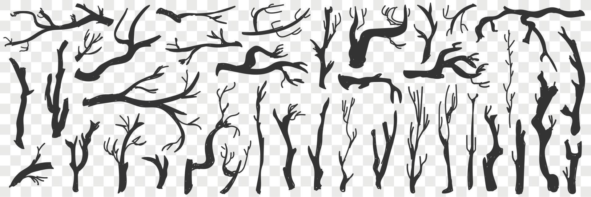 Tree branches pattern doodle set. Collection of hand drawn various branches of trees silhouettes natural pattern isolated on transparent background vector