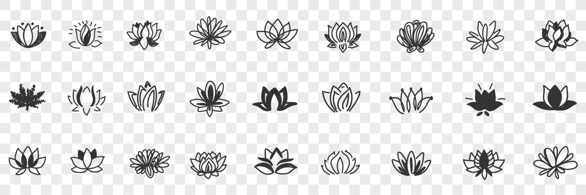 Lotus flowers pattern doodle set. Collection of hand drawn natural floral pattern of blooming lotus flowers in rows isolated on transparent background vector