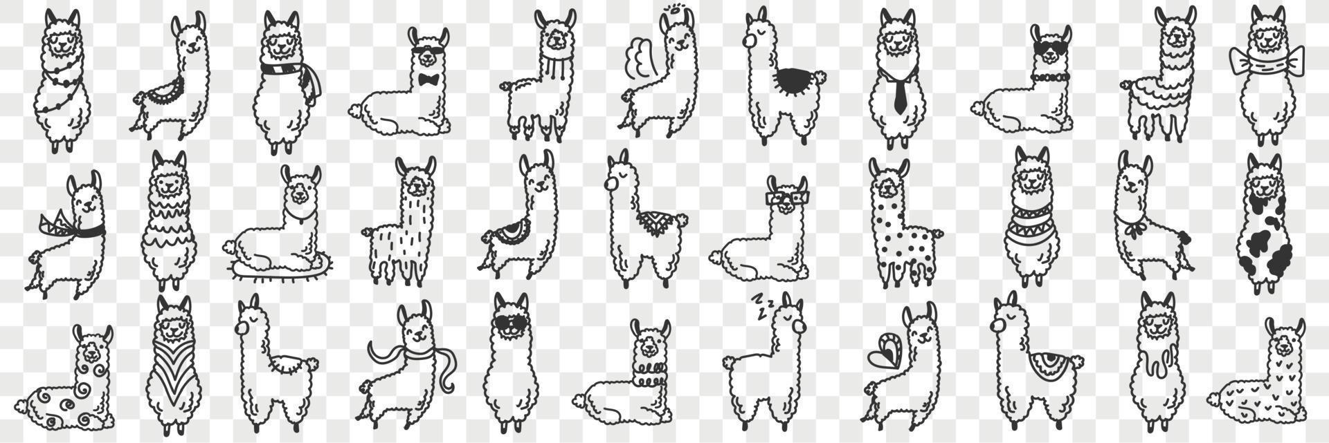 Funny alpacas animals doodle set. Collection of hand drawn various funny cute alpaca animals in different poses enjoying life isolated on transparent background vector