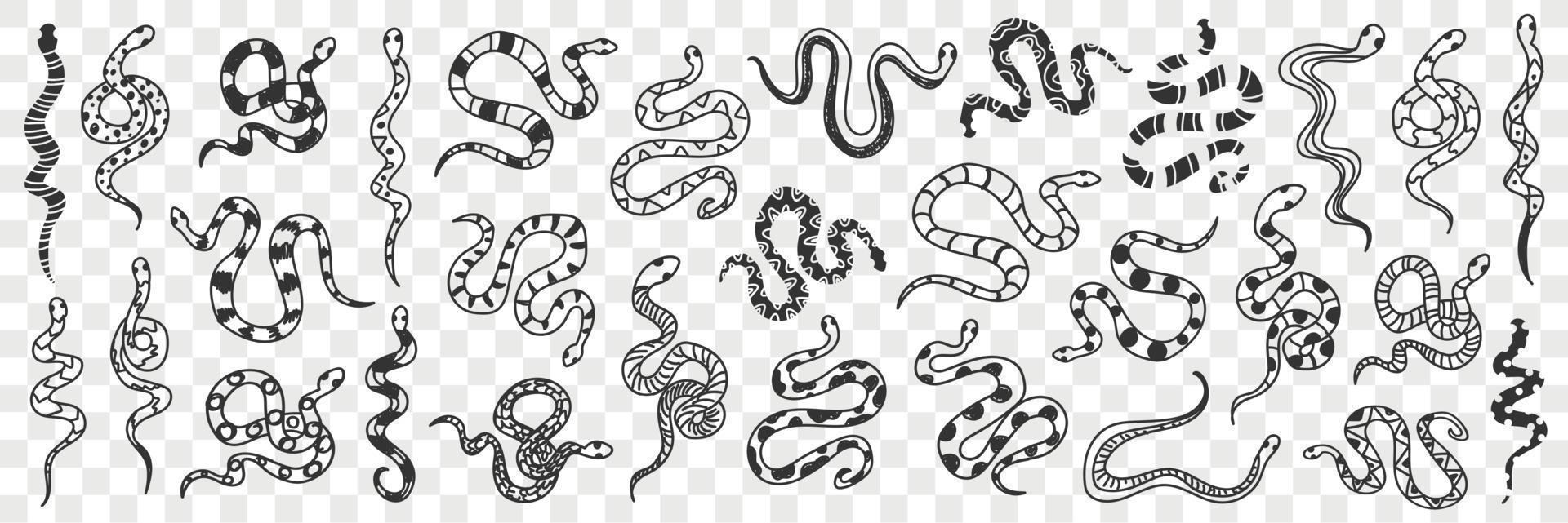 Various snakes of different patterns doodle set. Collection of hand drawn wild snakes cobra python wriggling on ground ready to bite isolated on transparent background vector