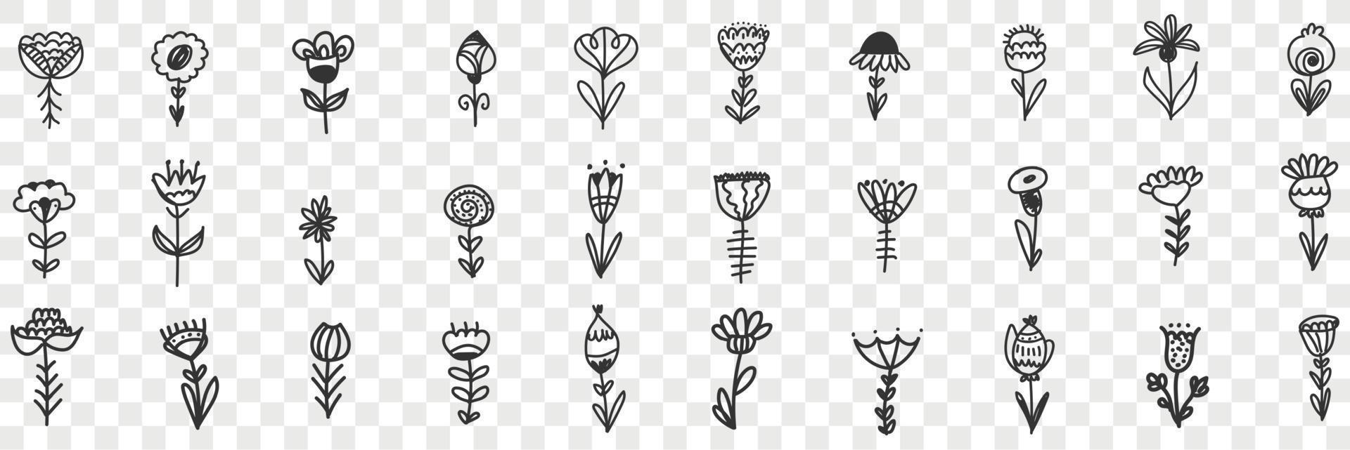Natural flowers pattern doodle set. Collection of hand drawn blooming natural flowers ornament decoration pattern wallpaper isolated on transparent background vector