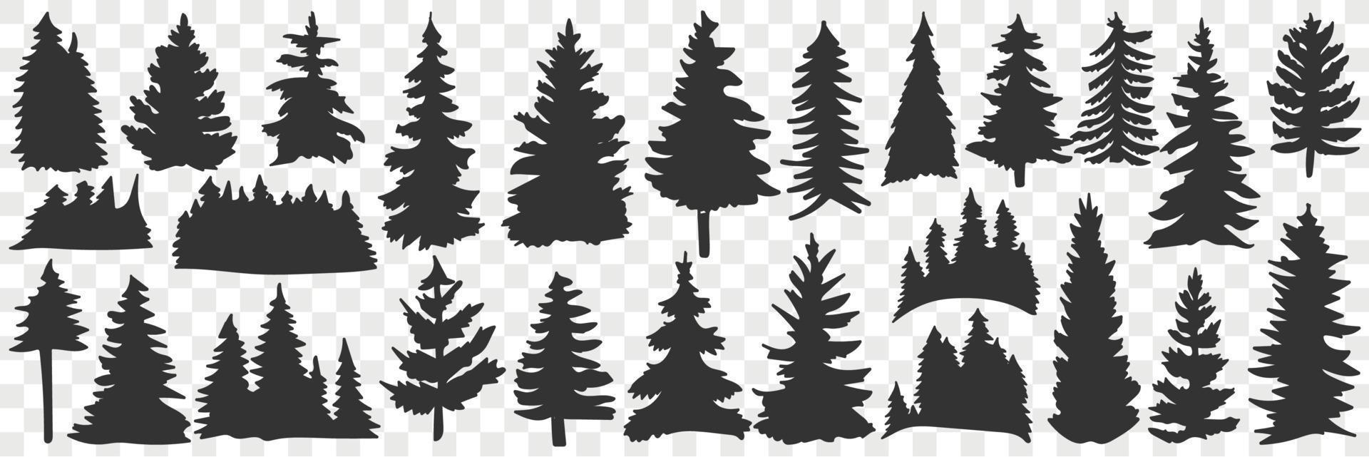 Silhouettes of spruce and pine doodle set. Collection of hand drawn various black silhouettes of forest trees pine trees in rows isolated on transparent background vector