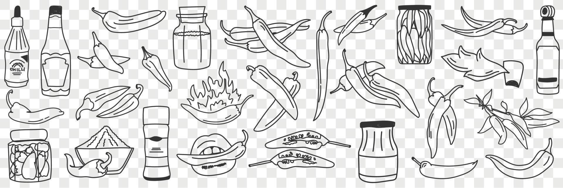 Cooked chilli pepper doodle set. Collection of hand drawn various types of cooked preserved pickled pepper hot and spicy for eating in rows isolated on transparent background vector